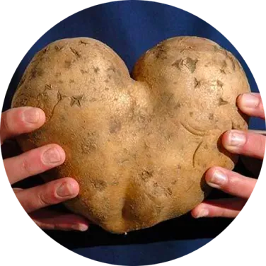 hart-voor-aardappelen